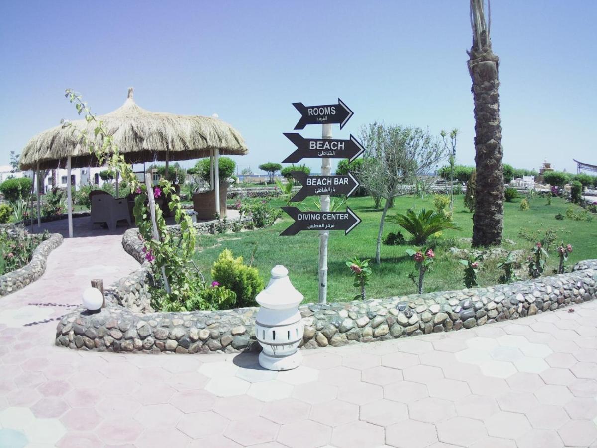Dolphin Continental Hotel El Qoseir Luaran gambar