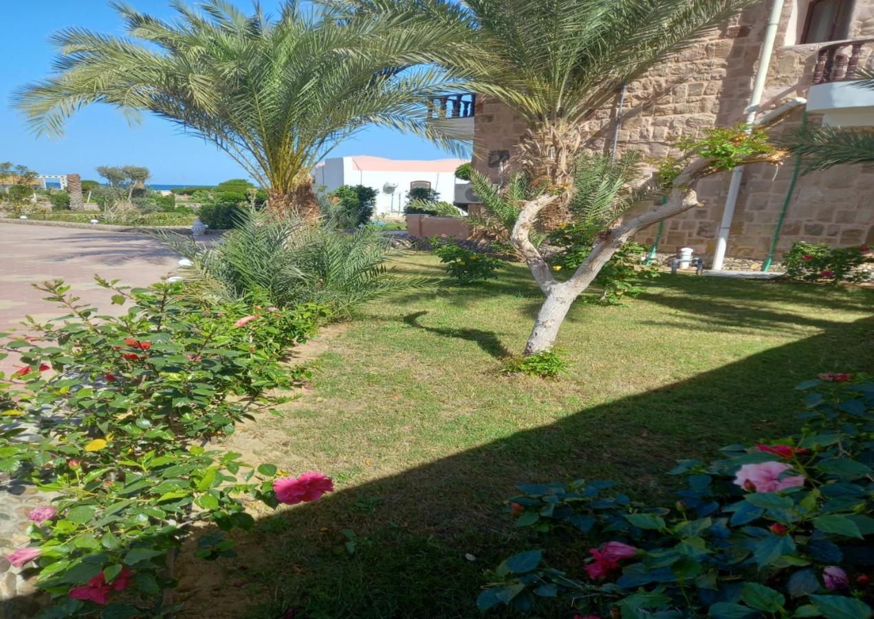 Dolphin Continental Hotel El Qoseir Luaran gambar