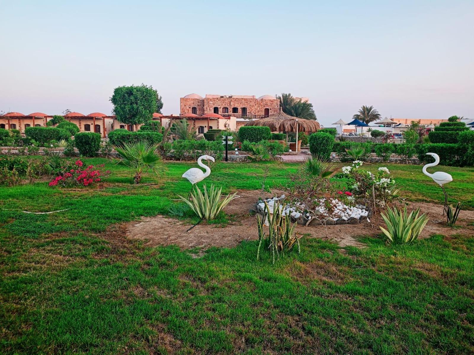 Dolphin Continental Hotel El Qoseir Luaran gambar