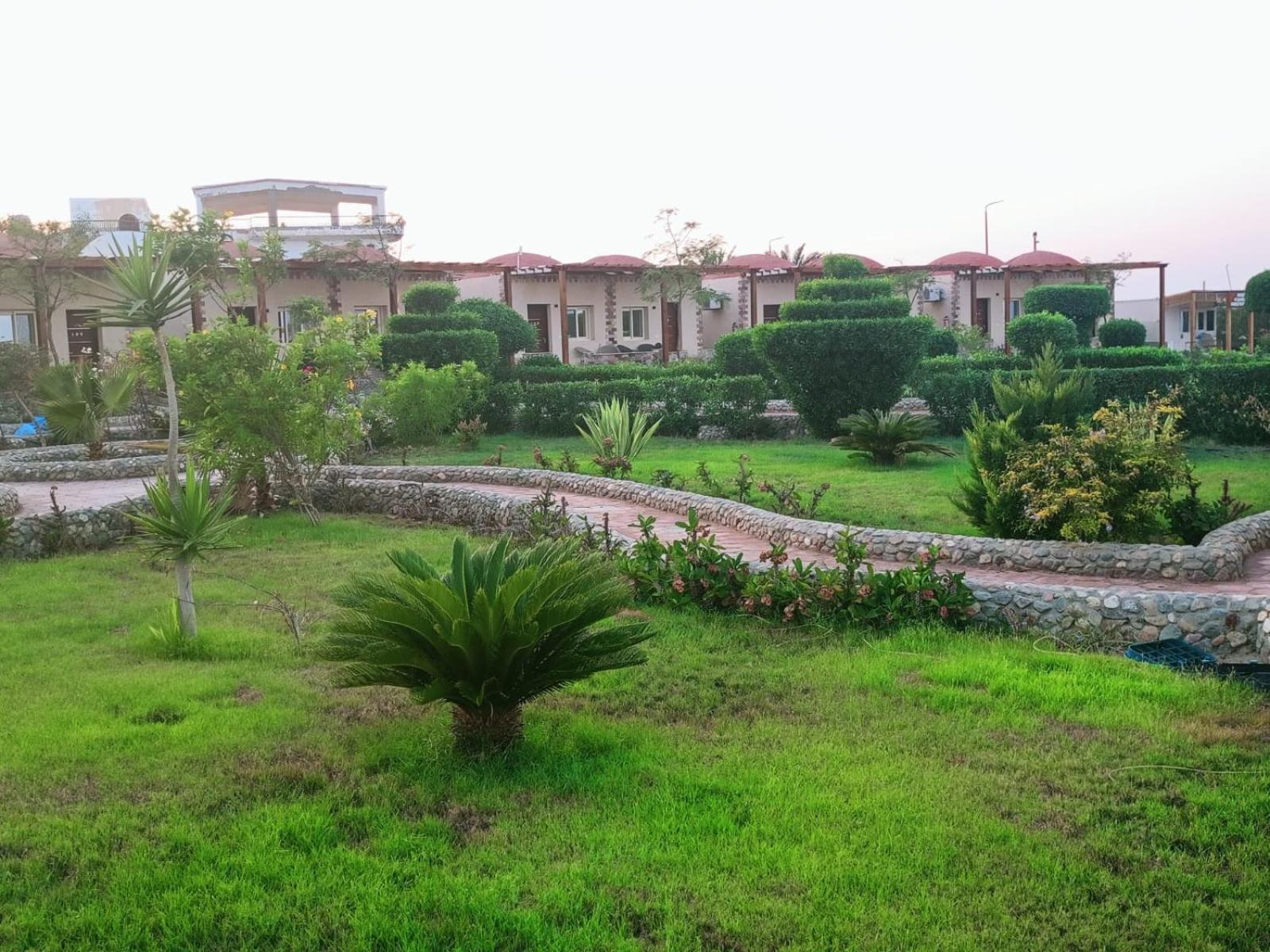 Dolphin Continental Hotel El Qoseir Luaran gambar
