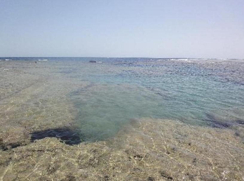 Dolphin Continental Hotel El Qoseir Luaran gambar